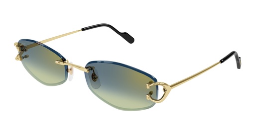 [843023175764] Cartier CT0467S