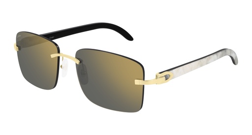 Cartier CT0030RS
